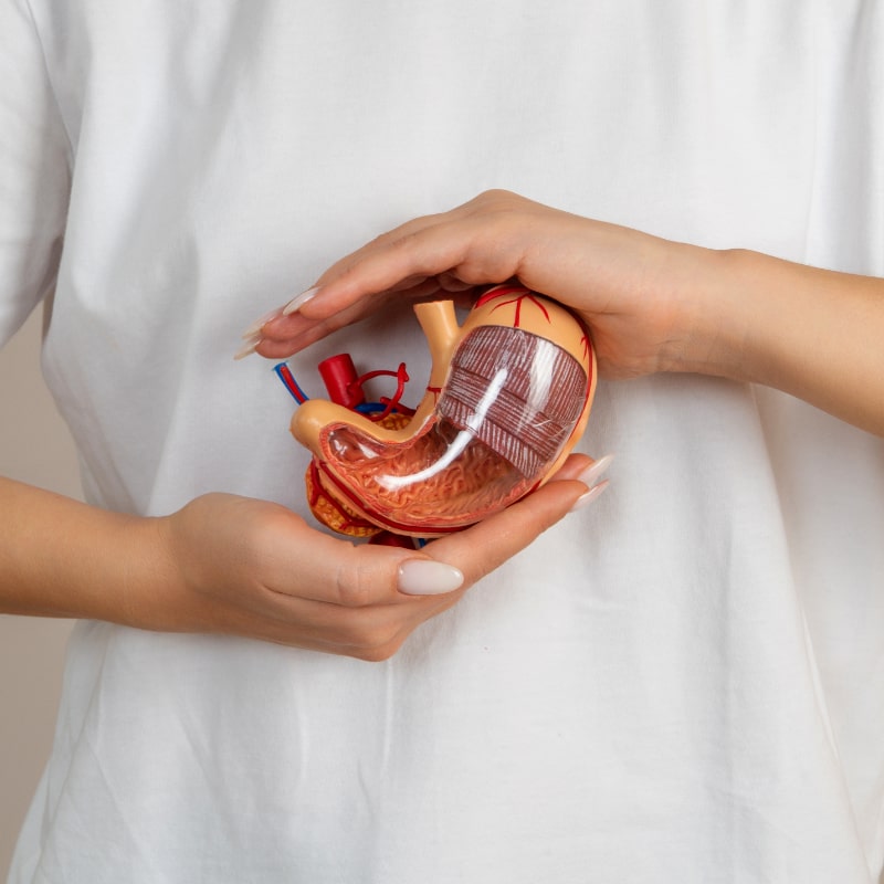 https://b12ankermann.bg/wp-content/uploads/2024/08/5-stomach-cancer-min.jpg